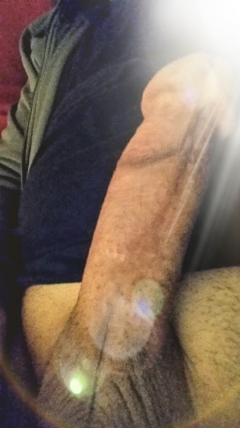 hard cock