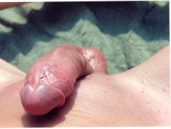 boy wanking ii