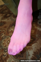Color pantyhose