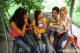 Violla, Rosa, Laska, Gregor, Filimon