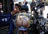 BEST PICTURES 7