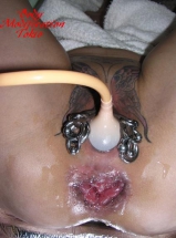 pussy life A