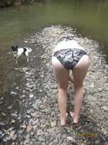 In the Wood