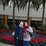 Hijab Egypt 8