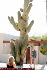 ftv girls exciting girls ftvgirls