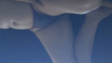 MINHAS FOTOS