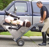 Humiliated Bitches II