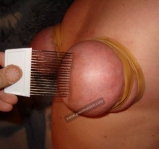 Slaves for April 19th