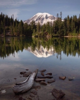 sweet gals 1a850=1a950