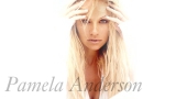 Blonde Big-tits Playboy Celebrity Model Pamela Anderson