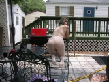 Nudist Shower