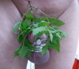 cbt self nettles play