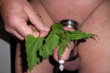 cbt self nettles play