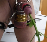 cbt self nettles play