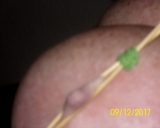 wie immer geil gefickt