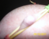 wie immer geil gefickt