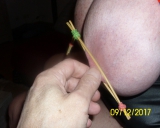 wie immer geil gefickt