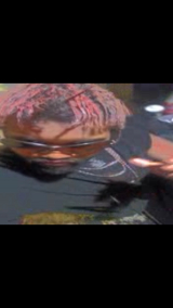 Raepast gangsta clone twin of johnny deep hischocolatefactry