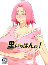 (C84) [Pucchu (Echigawa Ryuuka)] Best in the Village! (Narut