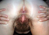 Such attractive hairy ass