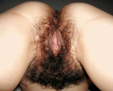Such attractive hairy ass