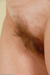 Hillary hairy