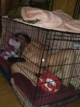 Daddy's pet slave