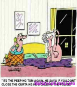 1. Ultimate Collection of Hardcore Anime Hentai Manga Cartoo