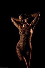 the eroticism of the body