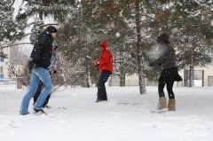 Miroslav, Filip, Iveta, Valerij - N