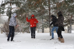 Miroslav, Filip, Iveta, Valerij - N