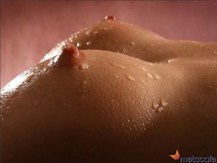 Wet wet wet 2 - N