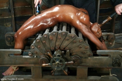 Glazed and bound women - N