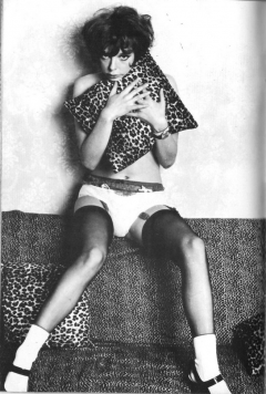 Vintage collextion # 3 Julie Adams - N
