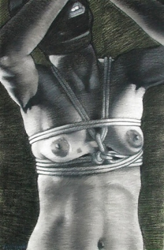 Bdsm drawings - N