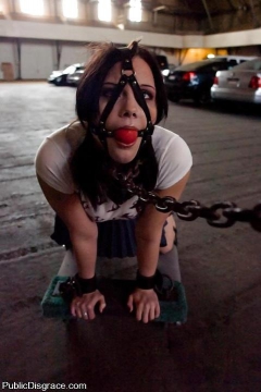 XCHICAS BDSM 59 - N