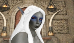 Dunkelelfe - N