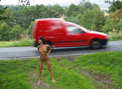 Agy! I want you on the road... - N