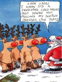 Xmas funnies - N
