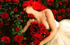 Redhead 52! - N