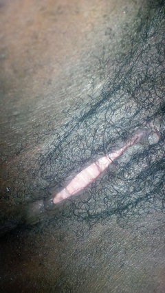 Chatte - N