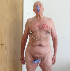 rich palmer lost another bet with sue - N