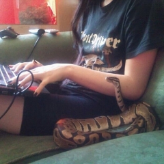Snakey Girls - N