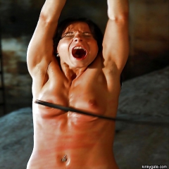 Merciless punishments with the whip - N