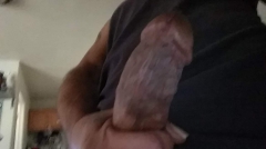Pussy Bait - N