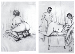 BBW cartoon fantasies - N