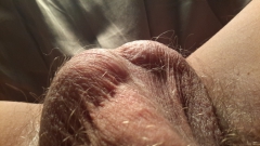Pictures of me - N