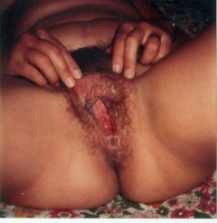 views of my hot wife - N