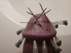 brutal pain cbt insertion bdsm extrem pervers xxl - N