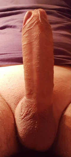 Close-up of my hard cock - N